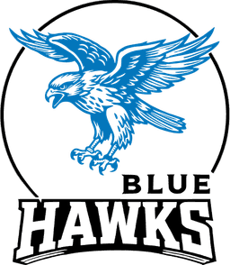 A hawk in flight above the Blue Hawks wordmark